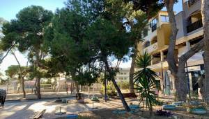 Obra Nueva - Ground Floor Bungalow - San Javier - Roda Golf