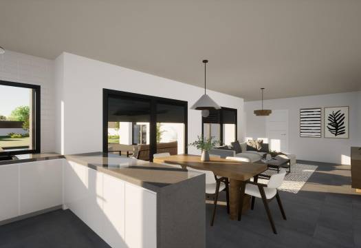 Obra Nueva - Villa / Chalet - Pinoso - Lel