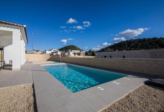 Obra Nueva - Villa / Chalet - Pinoso - Lel