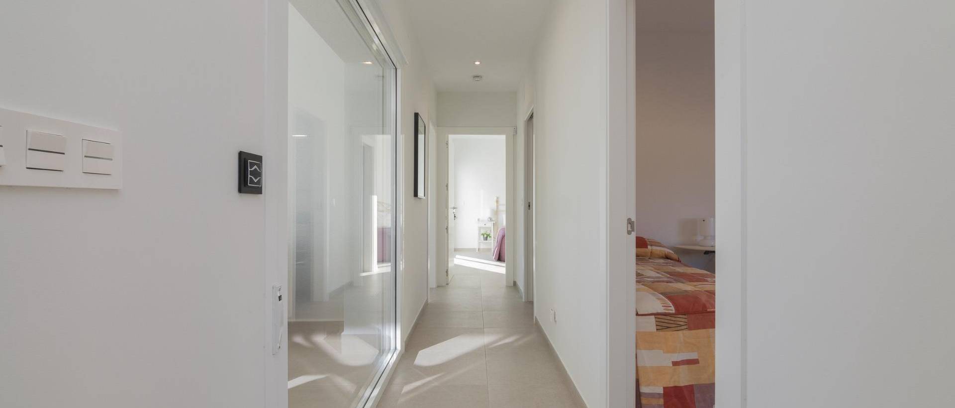 Obra Nueva - Villa / Chalet - Pinoso - Lel