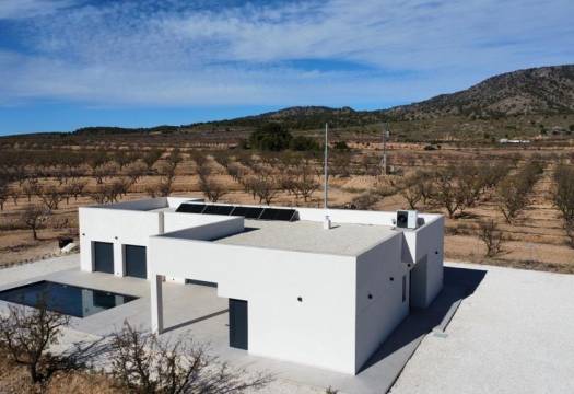 Obra Nueva - Villa / Chalet - Pinoso - Lel
