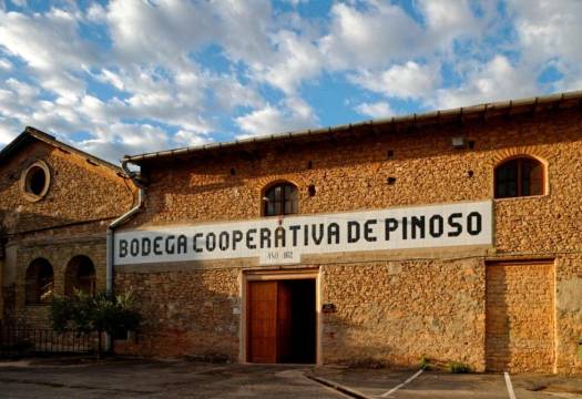 Obra Nueva - Villa / Chalet - Pinoso - Lel