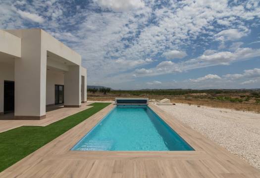 Obra Nueva - Villa / Chalet - Pinoso - Lel