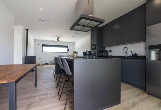 Obra Nueva - Villa / Chalet - Pinoso - Lel