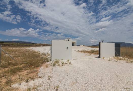 Obra Nueva - Villa / Chalet - Pinoso - Lel