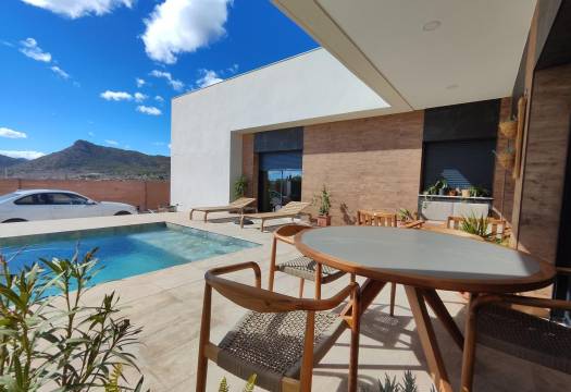 Obra Nueva - Villa / Chalet - Pinoso - Lel