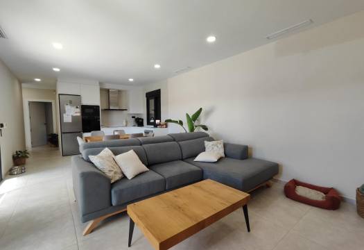 Obra Nueva - Villa / Chalet - Pinoso - Lel