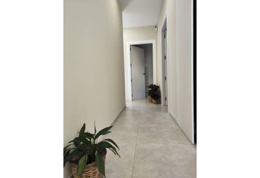 Obra Nueva - Villa / Chalet - Pinoso - Lel