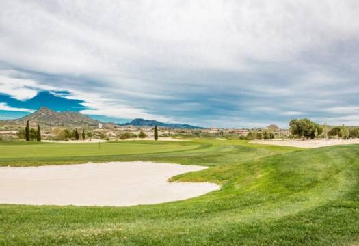 Obra Nueva - Villa / Chalet - BAÑOS Y MENDIGO - Altaona Golf