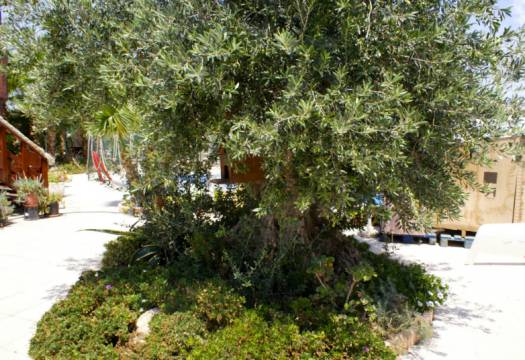 Reventa - Villa / Chalet - San Miguel de Salinas