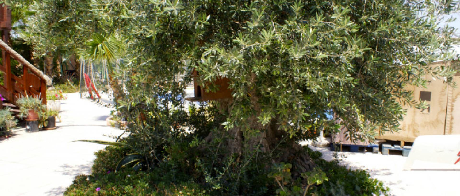 Reventa - Villa / Chalet - San Miguel de Salinas