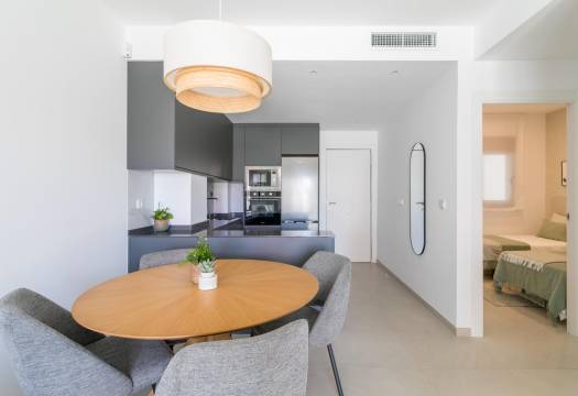 Obra Nueva - Apartmento - Torrevieja - Torreblanca