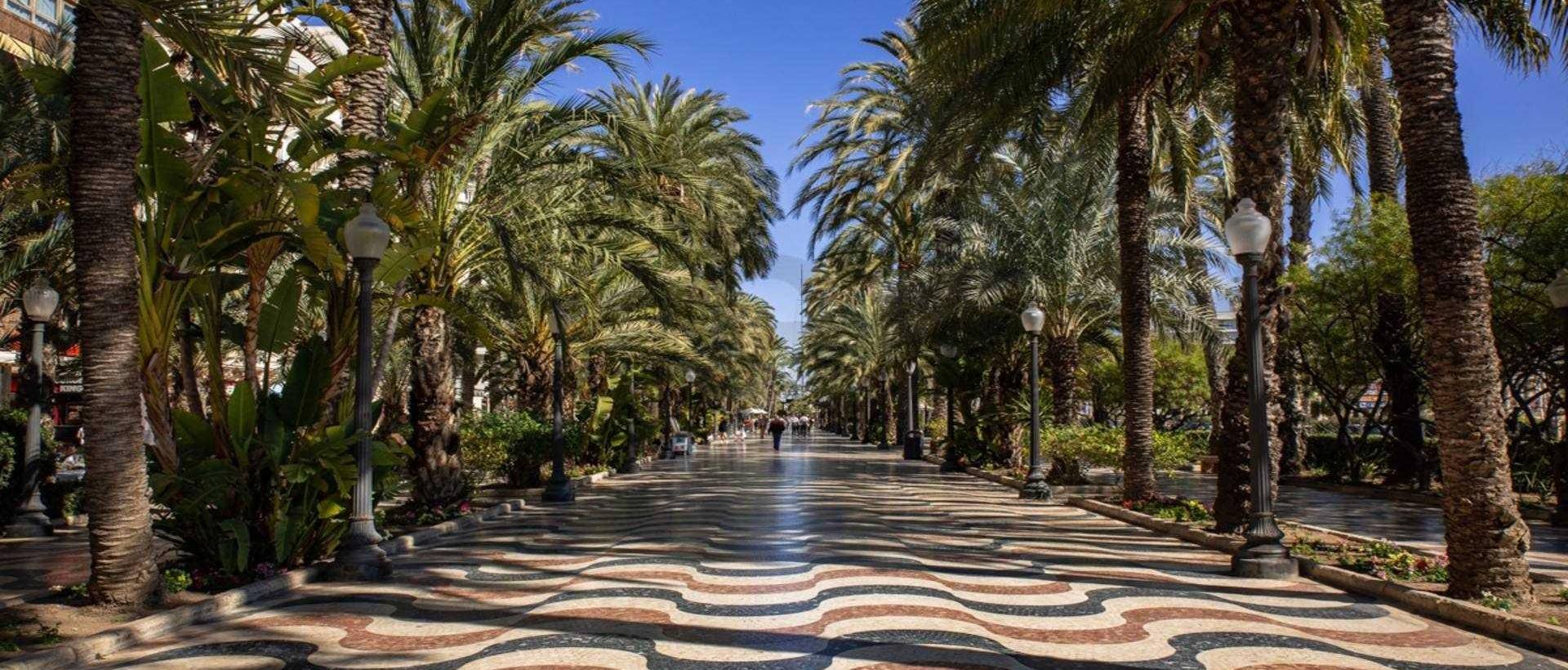 Obra Nueva - Ground floor apartment - Alicante - Centro