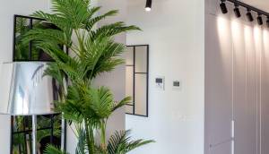 Obra Nueva - Apartmento - Finestrat - Balcón de finestrat