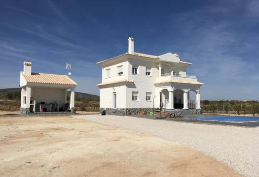 Obra Nueva - Villa / Chalet - Pinoso - Camino Del Prado