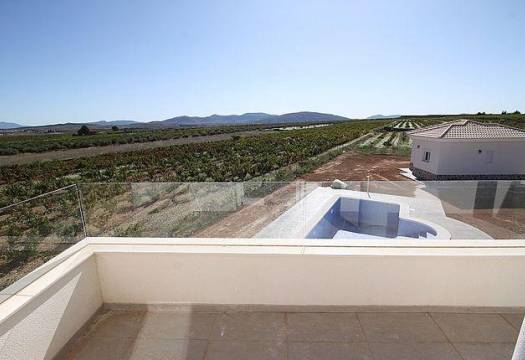 Obra Nueva - Villa / Chalet - Pinoso - Camino Del Prado