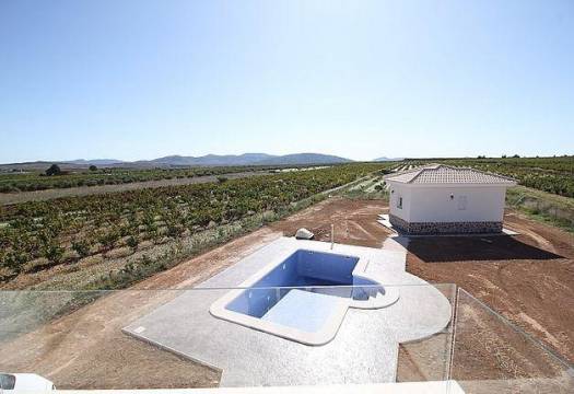 Obra Nueva - Villa / Chalet - Pinoso - Camino Del Prado