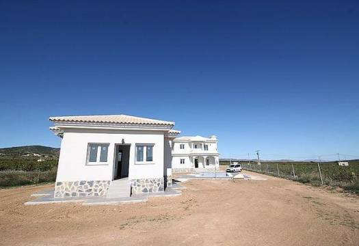 Obra Nueva - Villa / Chalet - Pinoso - Camino Del Prado