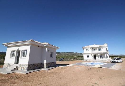 Obra Nueva - Villa / Chalet - Pinoso - Camino Del Prado