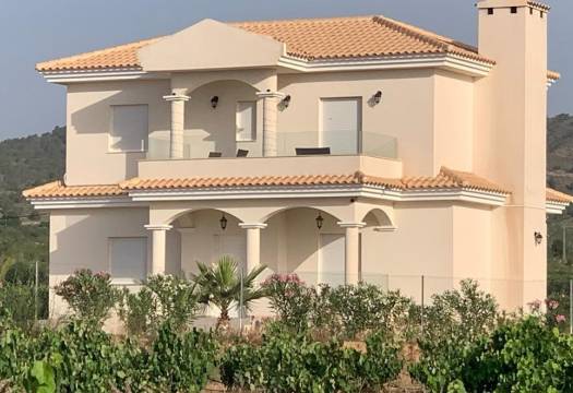 Obra Nueva - Villa / Chalet - Pinoso - Camino Del Prado