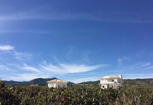 Obra Nueva - Villa / Chalet - Pinoso - Camino Del Prado