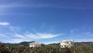 Obra Nueva - Villa / Chalet - Pinoso - Camino Del Prado