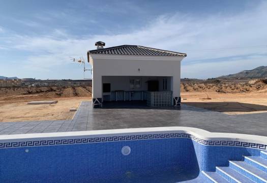 Obra Nueva - Villa / Chalet - Pinoso - Camino Del Prado