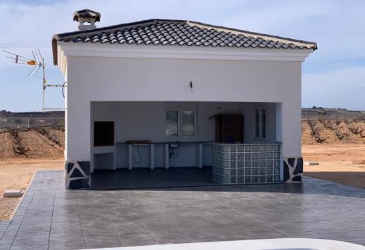 Obra Nueva - Villa / Chalet - Pinoso - Camino Del Prado