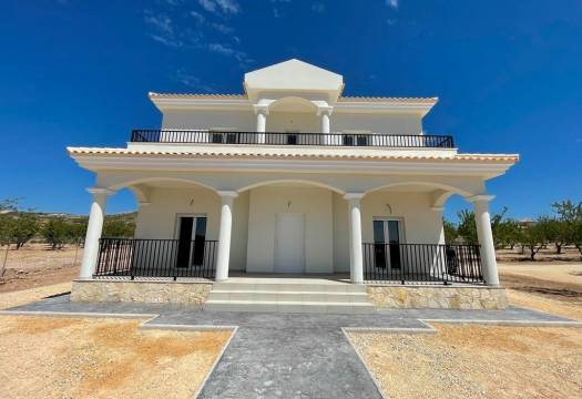 Obra Nueva - Villa / Chalet - Pinoso - Camino Del Prado