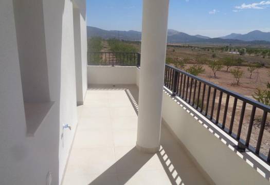 Obra Nueva - Villa / Chalet - Pinoso - Camino Del Prado