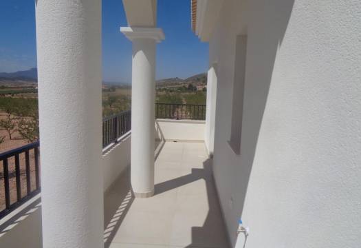 Obra Nueva - Villa / Chalet - Pinoso - Camino Del Prado