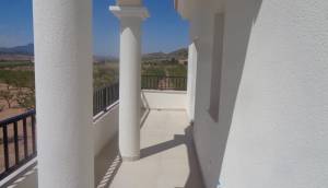 Obra Nueva - Villa / Chalet - Pinoso - Camino Del Prado