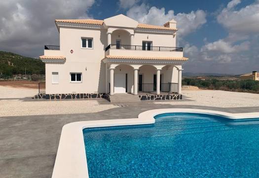 Obra Nueva - Villa / Chalet - Pinoso - Camino Del Prado