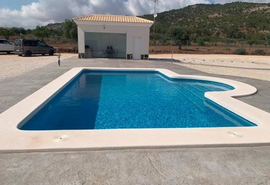 Obra Nueva - Villa / Chalet - Pinoso - Camino Del Prado