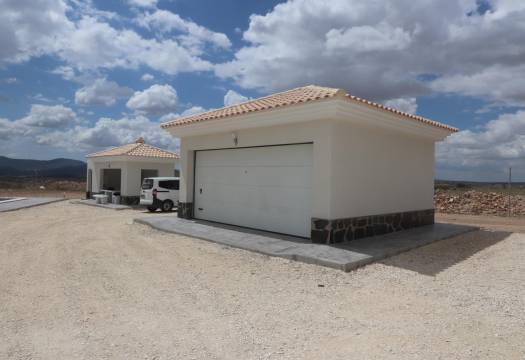 Obra Nueva - Villa / Chalet - Pinoso - Camino Del Prado