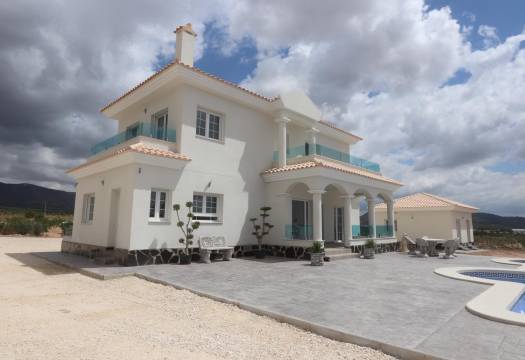 Obra Nueva - Villa / Chalet - Pinoso - Camino Del Prado