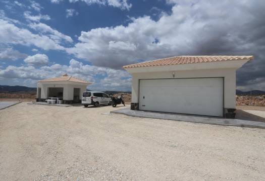Obra Nueva - Villa / Chalet - Pinoso - Camino Del Prado