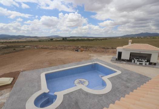 Obra Nueva - Villa / Chalet - Pinoso - Camino Del Prado