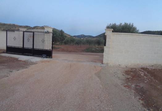 Obra Nueva - Villa / Chalet - Pinoso - Camino Del Prado