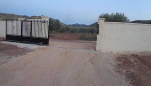 Obra Nueva - Villa / Chalet - Pinoso - Camino Del Prado