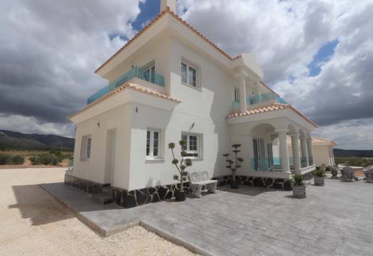 Obra Nueva - Villa / Chalet - Pinoso - Camino Del Prado