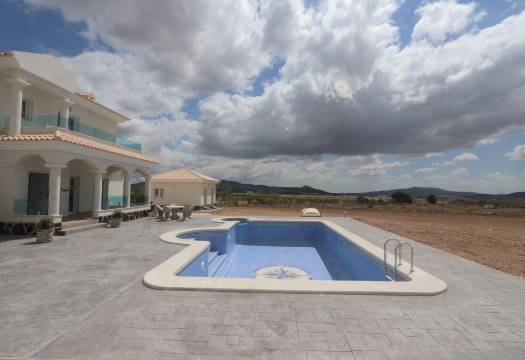 Obra Nueva - Villa / Chalet - Pinoso - Camino Del Prado