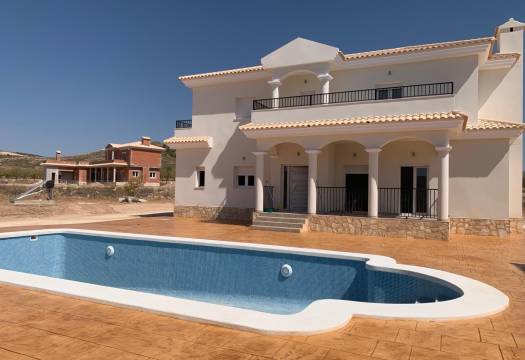 Obra Nueva - Villa / Chalet - Pinoso - Camino Del Prado