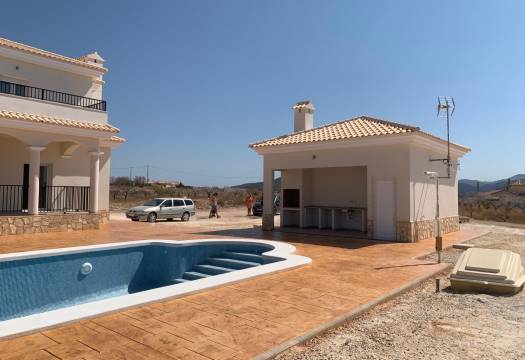 Obra Nueva - Villa / Chalet - Pinoso - Camino Del Prado