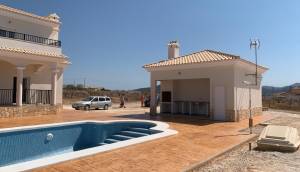 Obra Nueva - Villa / Chalet - Pinoso - Camino Del Prado