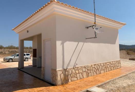 Obra Nueva - Villa / Chalet - Pinoso - Camino Del Prado