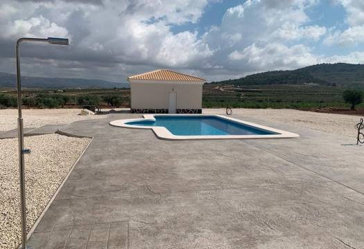 Obra Nueva - Villa / Chalet - Pinoso - Camino Del Prado