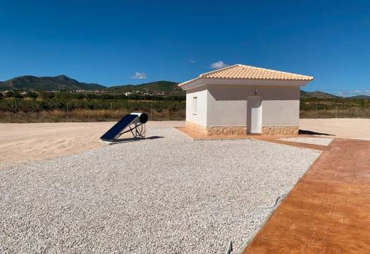 Obra Nueva - Villa / Chalet - Pinoso - Camino Del Prado