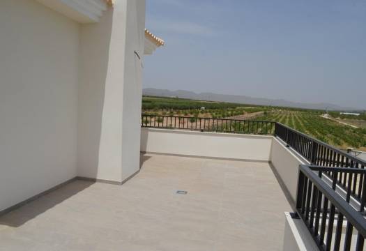 Obra Nueva - Villa / Chalet - Pinoso - Camino Del Prado