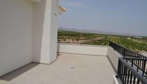 Obra Nueva - Villa / Chalet - Pinoso - Camino Del Prado